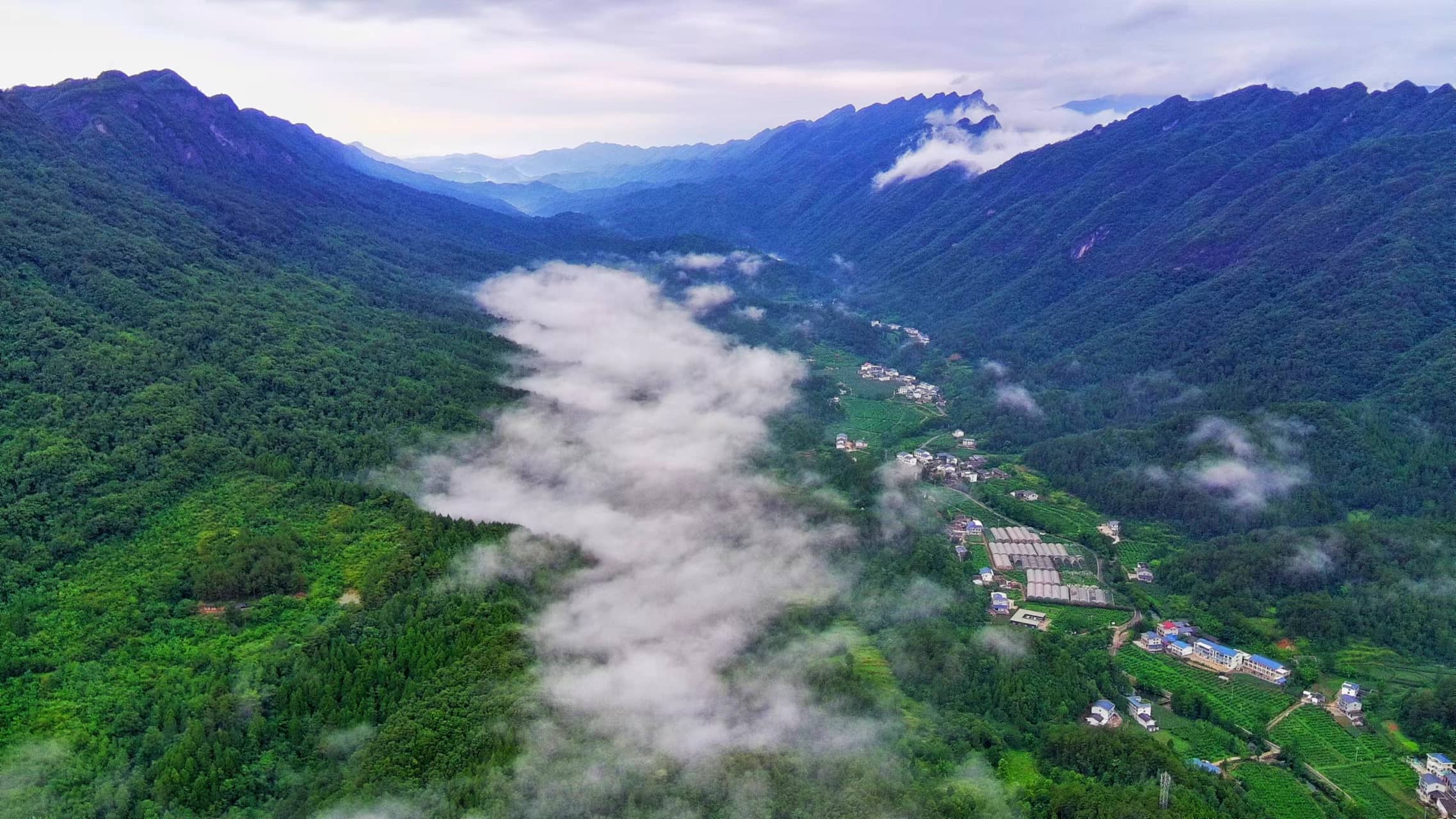 农场背景